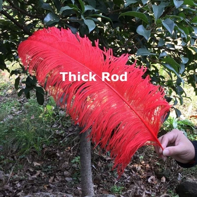 thick rod Новые 12 шт красивые натуральные красные страусиные перья оптом от 50 до 55 см/от 20 до 22 дюймов перьев - Цвет: thick rod