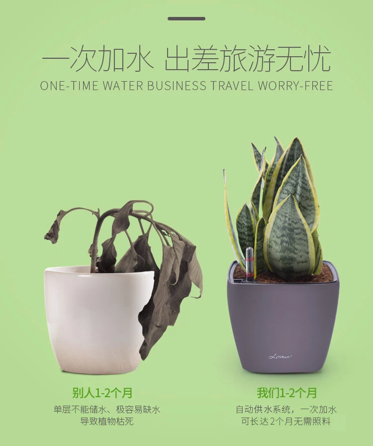Desk Square Round Green Rose Succulent Plant Lazy Flowerpot Trumpet Automatic Water Absorption Flowerpot Plastic