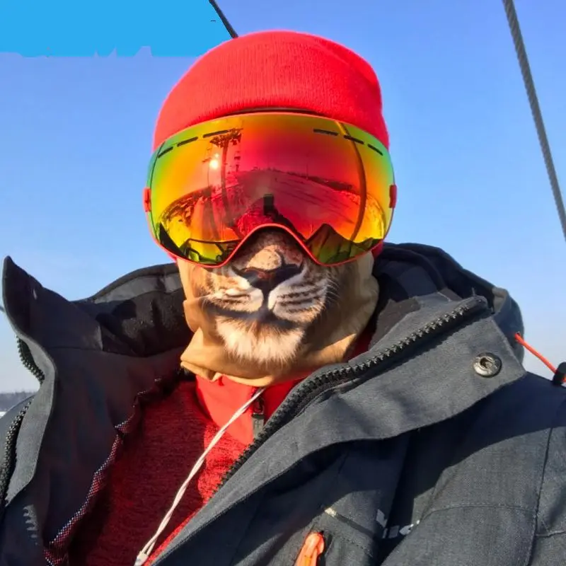 Зимние 3D животных полный маски Модные уличные велосипедов маска лыжную Кепки Veil