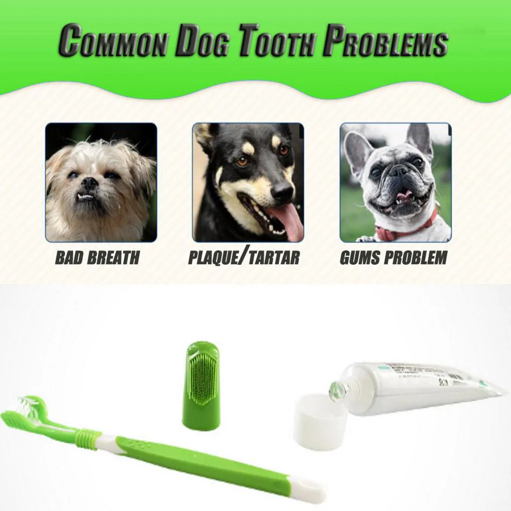 

Dog Toothbrush And Toothpaste Best Oral Dental Care Fresh Breath Teeth Cleaning