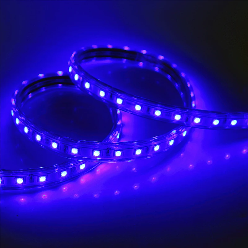 220 В Гибкая СВЕТОДИОДНАЯ лента SMD 5050 60 светодиодов/м Водонепроницаемая IP67 Вт WW RGB Светодиодная лента светильник с европейской вилкой питания 1 м 2 м 3 м 4 м 5 м 10 м 15 м 20 м