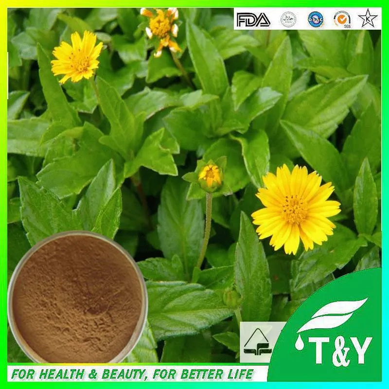 Dioscorea Nipponica Экстракт завод прямых продаж хороший поставщик хорошей цене|extract| |