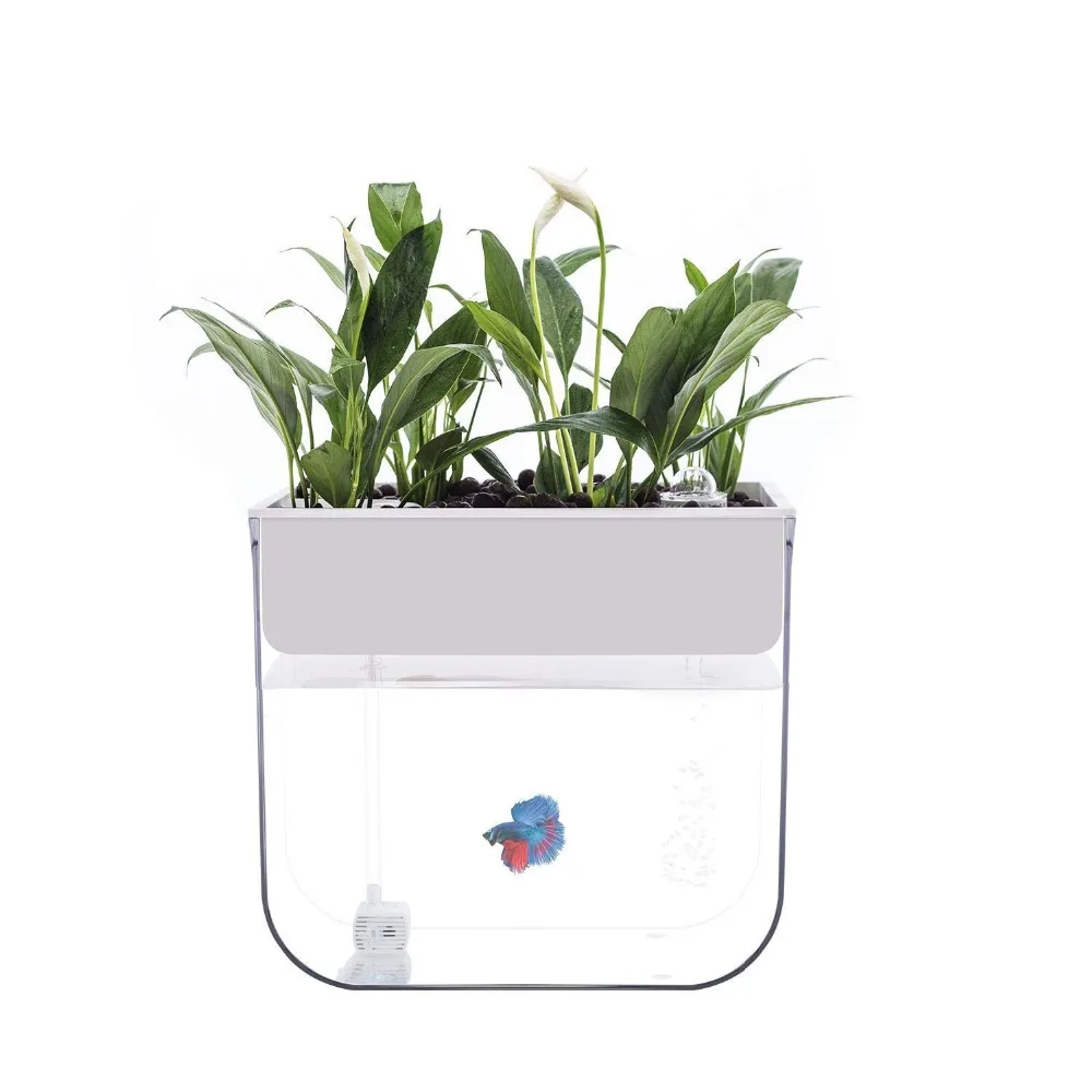 Joyfay Aquaponic Fish Tank-Betta Fish Tank, 3,2 галлонов, резервуар для гидропоники, 28x19,5x31 см