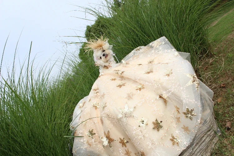 Pet Dog Dress Luxury Trailing Princess Wedding Dress For Small Dogs Golden Embroidery Puppy Clothes Lace Dress Chihuahua Poodle