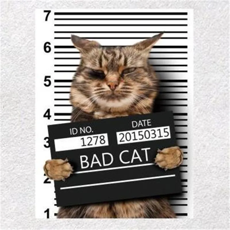 

Fashion clothes printed patch deal with it wanted BAD CAT pattern Heat transfer printing Iron on patches for clothing Diy design