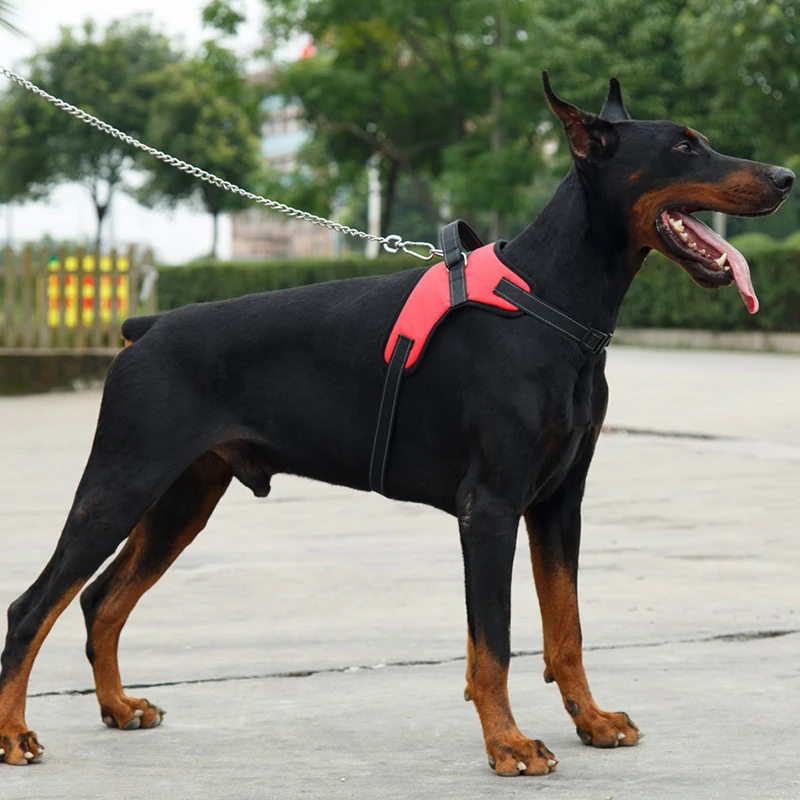 Однотонная сверхпрочная шлейка для собаки домашнего животного ошейник с