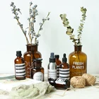 INS скандинавский стиль ретро прозрачная коричневая бутылка Aesop ваза настольные аксессуары для фотосъемки студийный фон для фотосъемки DIY орнамент