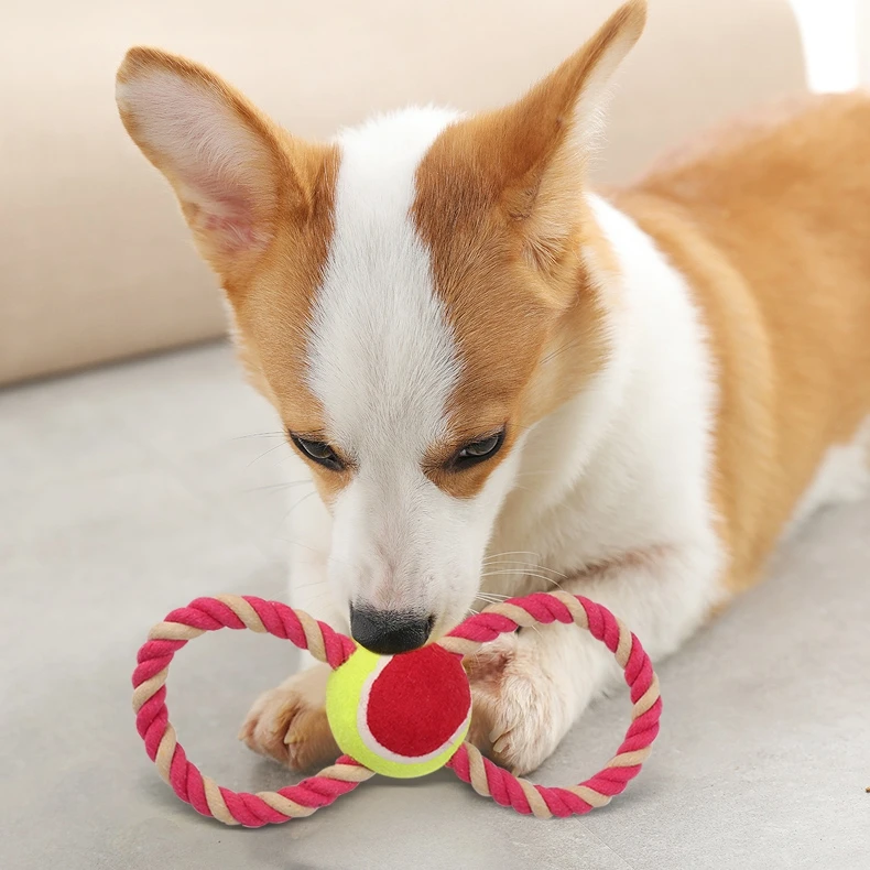 3 шт. хлопковая веревка для чистки зубов|Игрушки собак| |