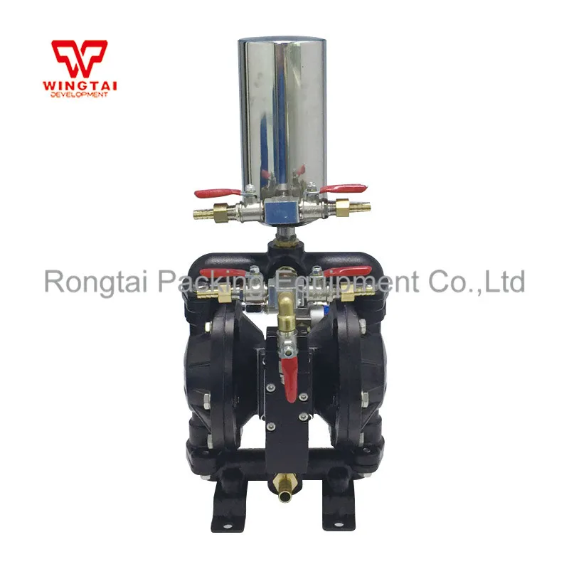 BML-15C Spraying Suit Two Way Pneumatic Diaphragm PTFE Pump | Обустройство дома