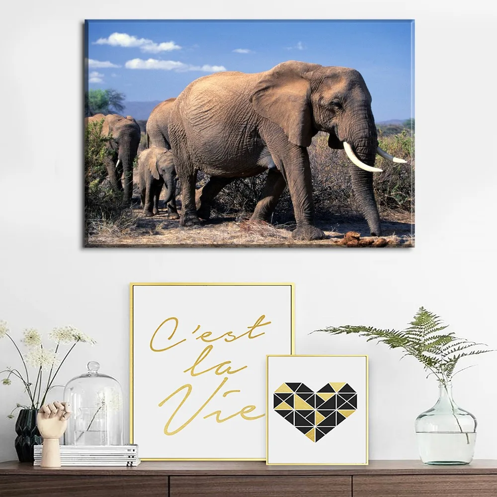 Домашние декоративные один комплект модульная 4 шт. в африканском стиле животных