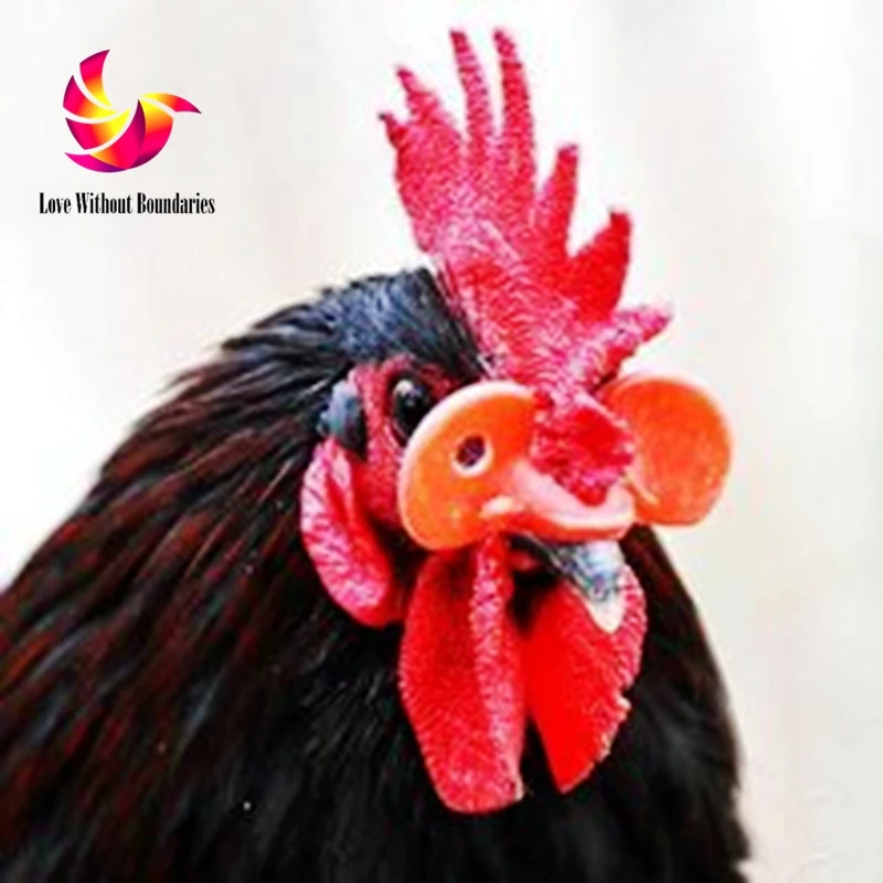 Куриные очки и птичьи чтобы предотвратить драки мелкие слепые глаза повреждение