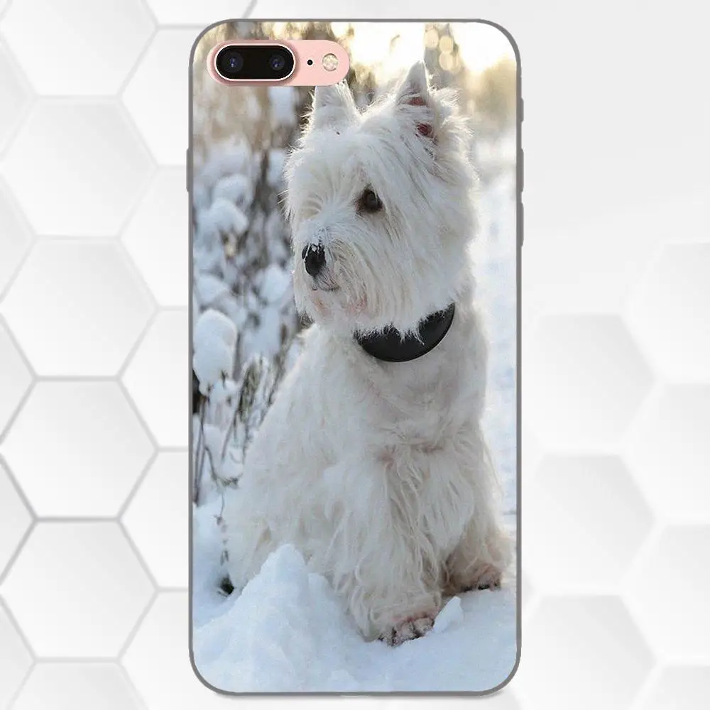 West Highland Terrier Westie щенок для Galaxy C5 C7 J1 J2 J3 J330 J5 J6 J7 J730 2017 Ace Core Duo Max Mini Plus Prime Pro |