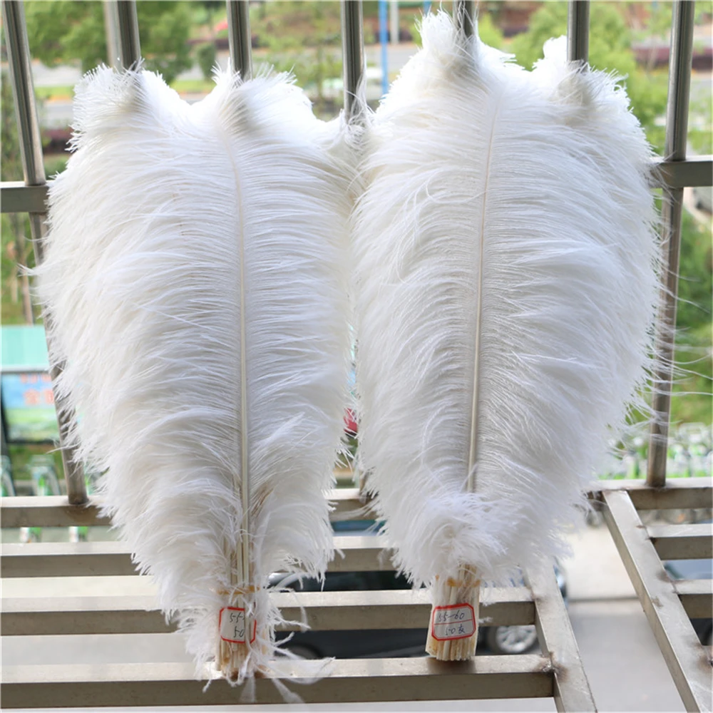 

10PCS ostrich feather soft and fluffy wedding decoration party plumage decorative Celebration White 24-26inch/60-65cm