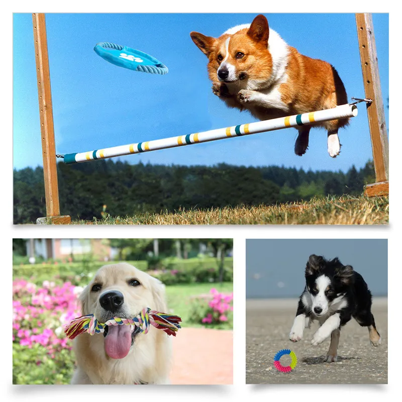 10 шт. интерактивная игрушка для собаки чихуахуа жевательная летающие диски