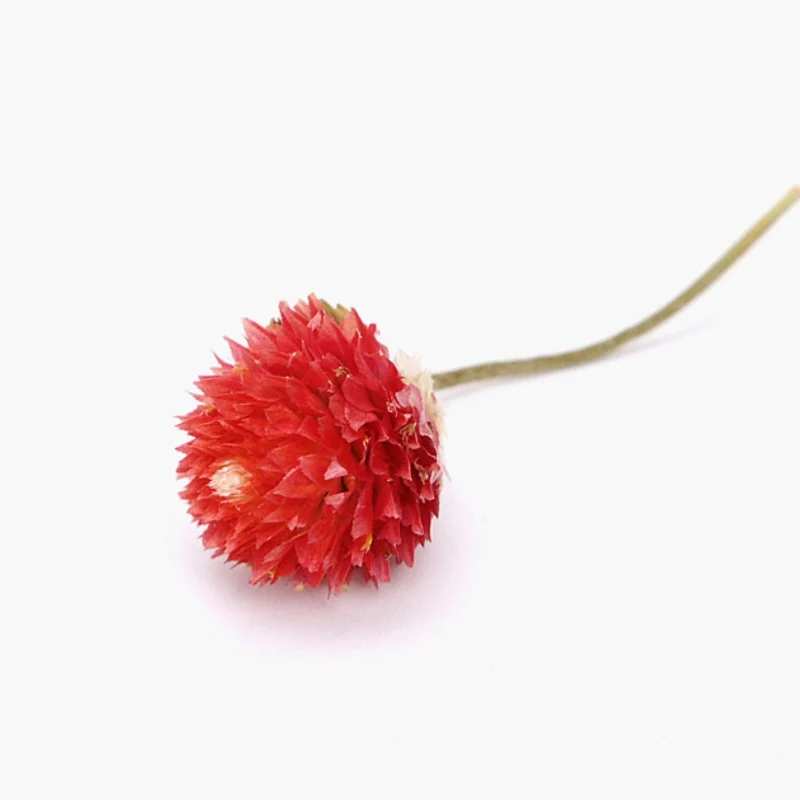Красный Gomphrena globosa бутоны натуральный сушеный цветок DIY ремесла сушеные прессованные цветы для дома Свадебная вечеринка DIY подарки украшения