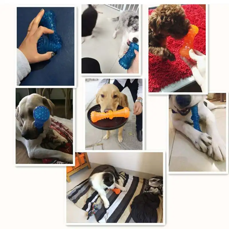 Новинка 2019 игрушка с пищащими Костями для домашних животных TPR молярные игрушки