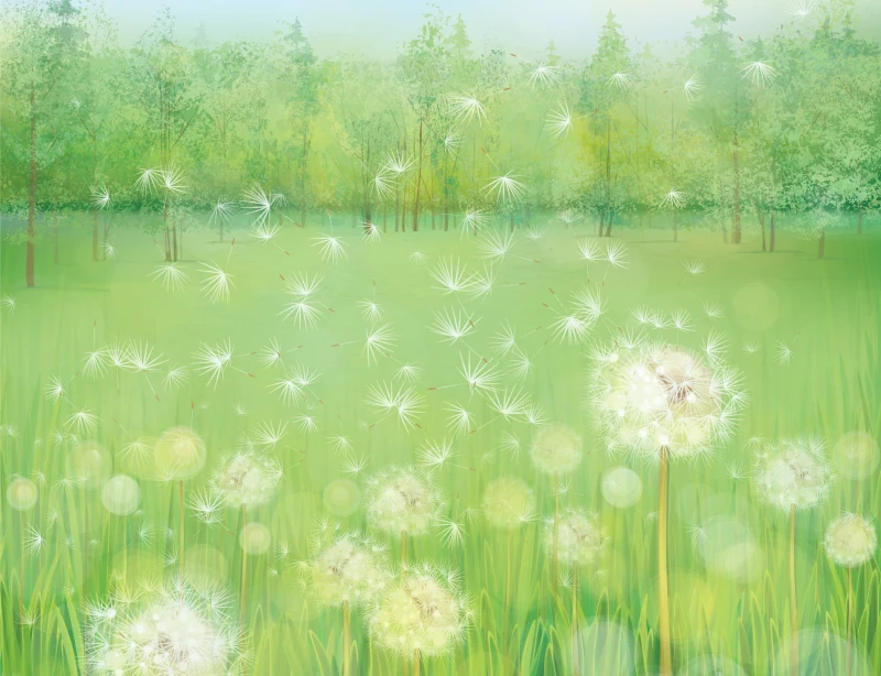 

Custom digital Spring green photobackground natural scenic dandelion studio backdrops,fantasy vinyl background backdrop wedding