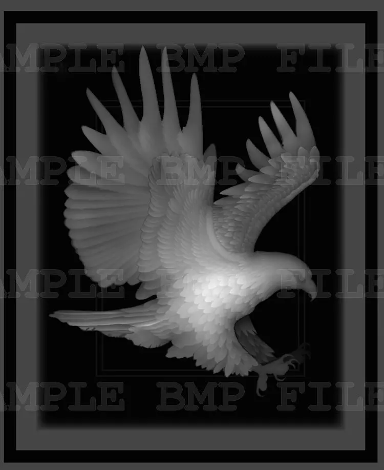 eagle 3d model for cnc in BMP file format Picture STL_1023_bmp | Инструменты
