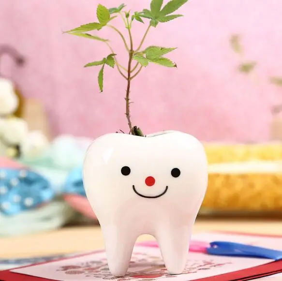 100% новый и высокое качество бонсай Керамика цветочный горшок DIY небольшой