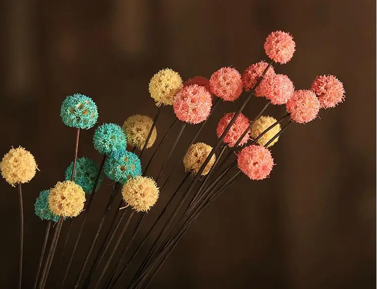 55 см натуральные DIY сушеные цветы бальное свадебное украшение для дома, вечерние, офисные Декоративные искусственные сушеные цветы