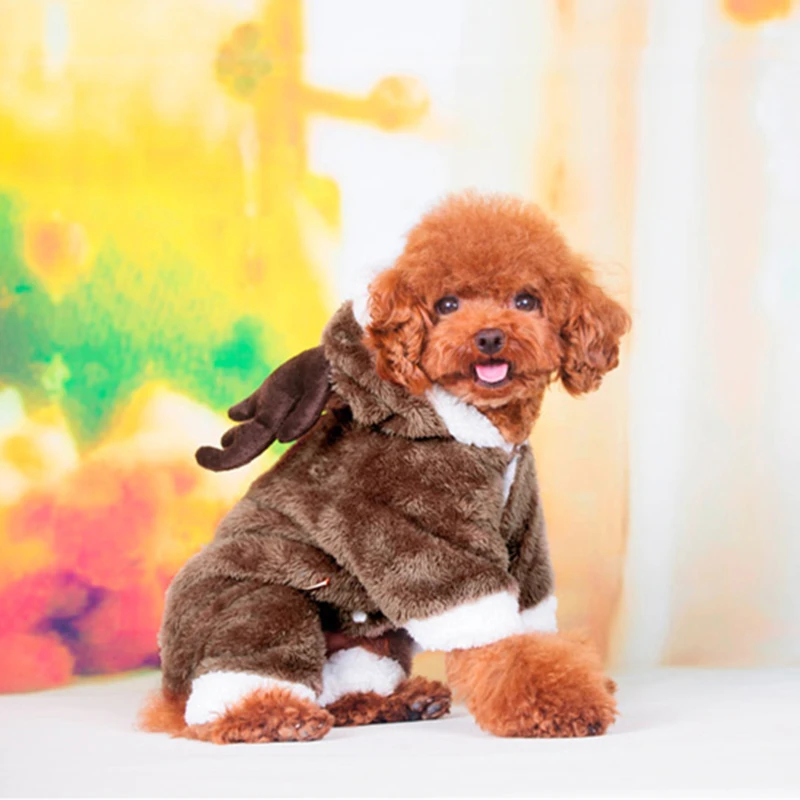 Забавная тыквенная одежда для маленькой собаки зимние теплые pet Четыре Ноги Костюмы Одежда для собак, куртка милое пальто с рисунком, костюмы для питомцев Тедди Одежда для Хэллоуина