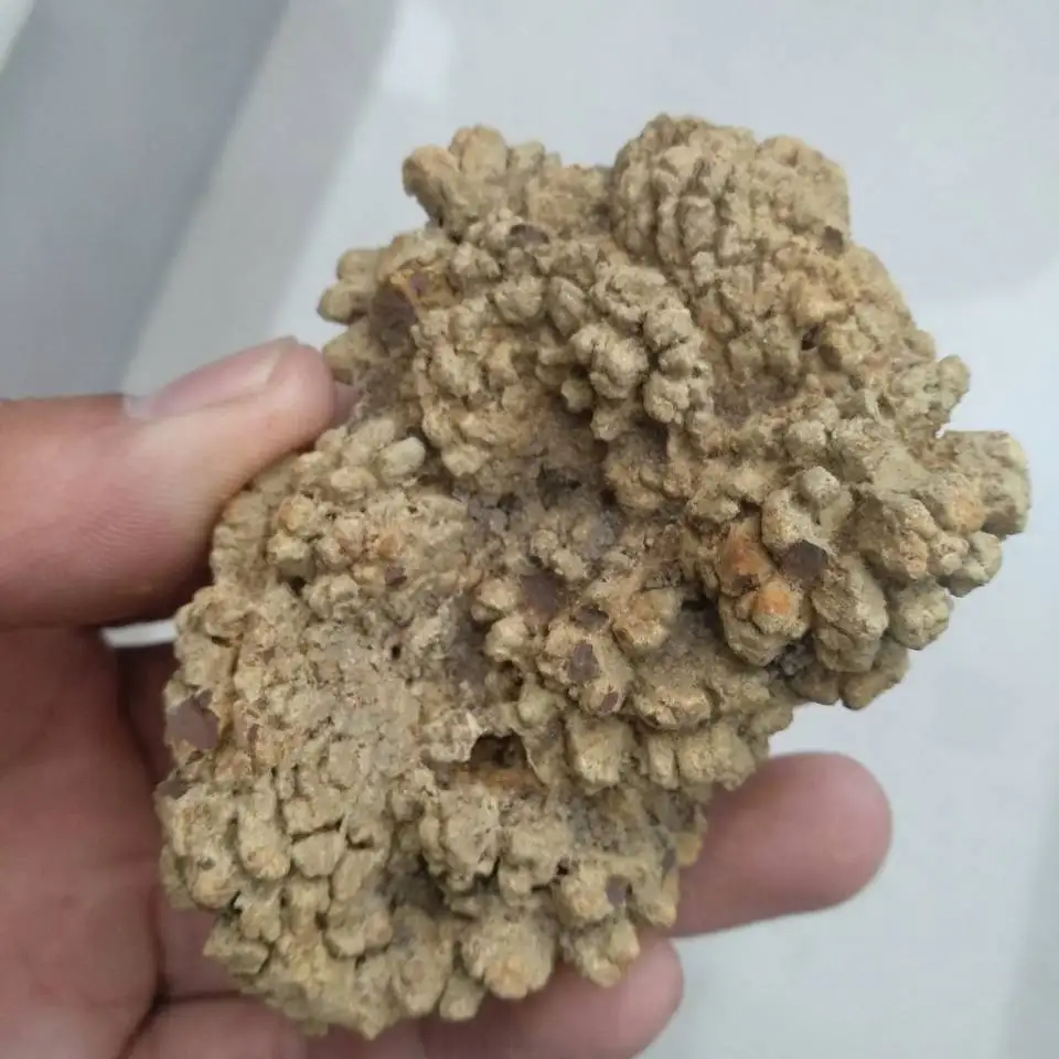 1 шт ископаемые динозавра какашки, динозавр Coprolite 150 г