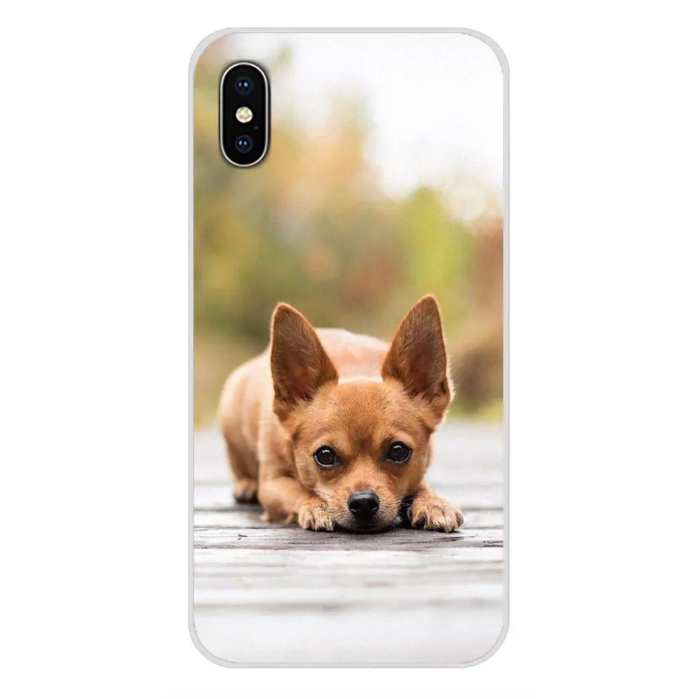 Чехлы для Xiaomi Redmi Note 6A MI8 Pro S2 A2 Lite Se MIx 1 Max 2 3 Oneplus 6T любовь Чихуахуа собака бульдог