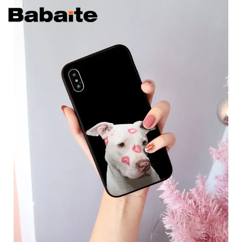 Babaite прекрасный питомец питбуль Новинка чехол для телефона Fundas чехол для iPhone X XS MAX 6 6S 7 7plus 8 8Plus 5 5S XR чехол