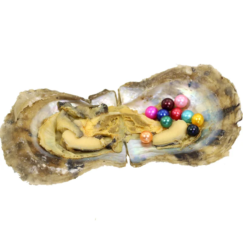 5 шт./лот Oysters Akoya с морской водой 10 круглыми жемчужинами внутри AAA цветные круглые