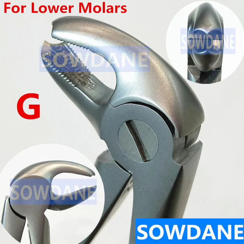 High Quality Dental Adult Tooth Extraction Plier Forcep Teeth Extraction Plier Forcep Dental Surgical Tool Instrument