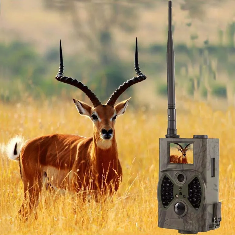 12MP 1080P GSM Trail Camera с высоким коэффициентом усиления антенны наружная охотничья игра