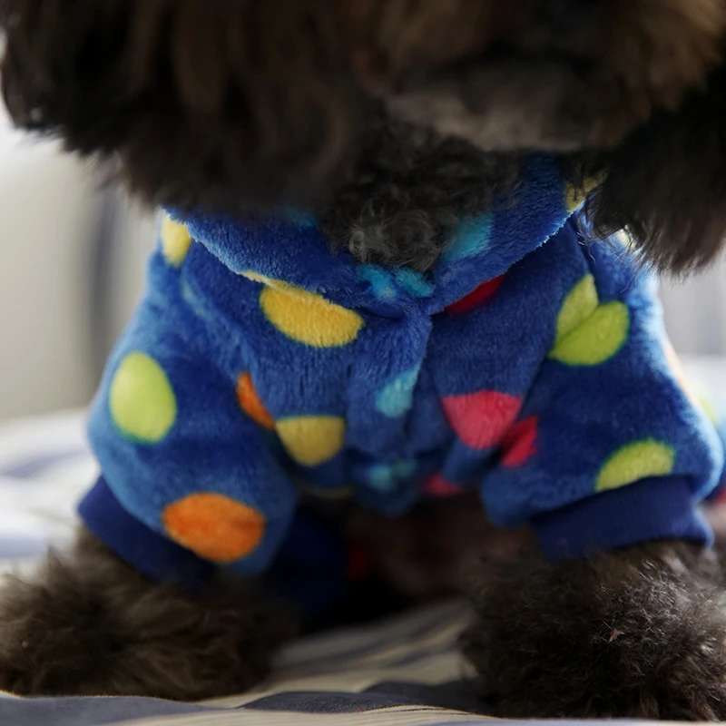 Новинка 2018 теплая одежда для собак Petcircle зимние пальто в горошек цветов радуги