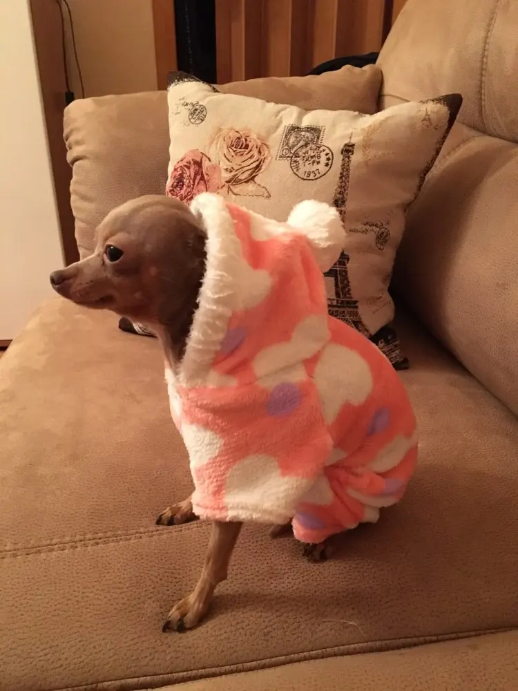 puppy Coral velvet jumpsuit Pet dog coveralls pet fleece hoodies clothes deer design s-xxl F50 | Дом и сад