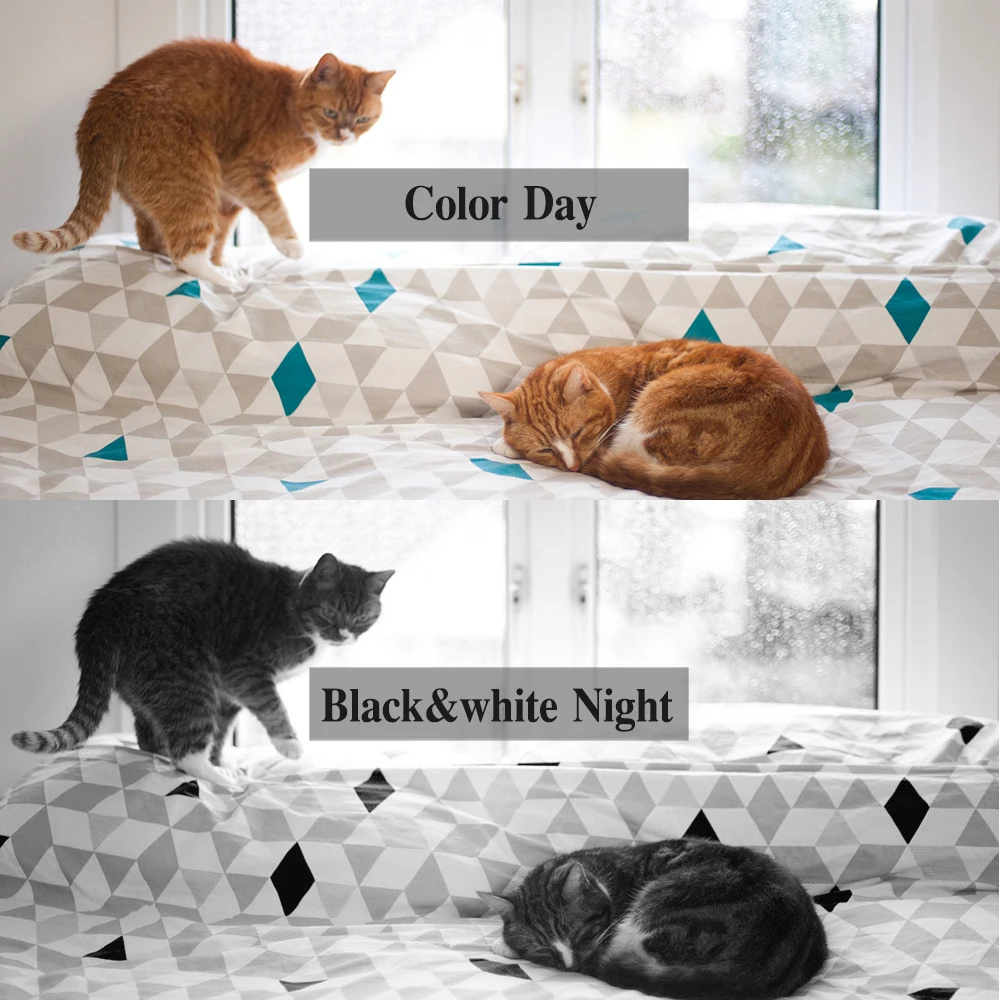 BFMore аудио POE IP камера 1080 P 2MP Водонепроницаемая HD CCTV камеры ONVIF видеонаблюдения