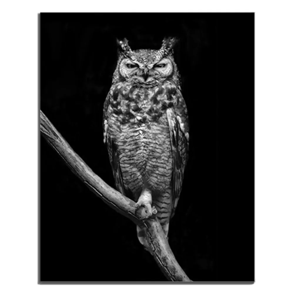 

Laeacco Owl Black and White Art Pictures Decor Canvas Oil Painting Picture For Bedroom Living Room Home Wall Decor Art No Frame