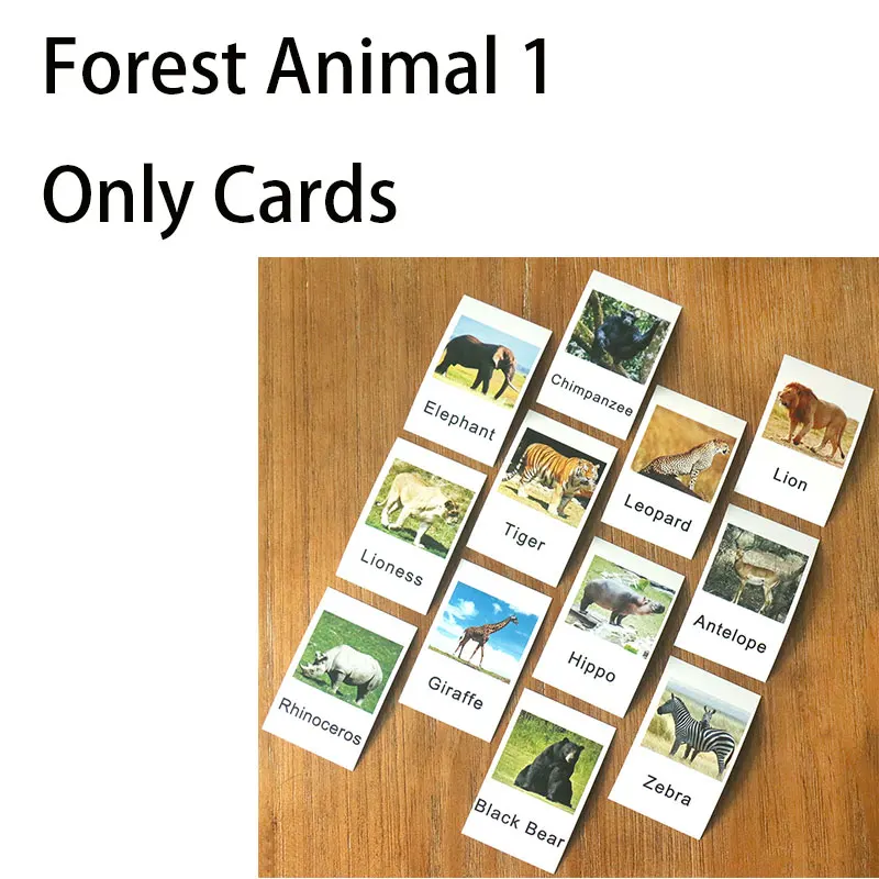 Only Cards Монтессори животных совпадающие карточки и лес птицы животных языковые материалы обучение по методу монтессори игрушка для малышей B1466T - Цвет: Only Cards