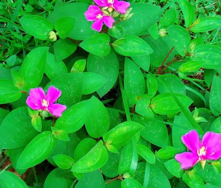 Роскошные 3d напольные обои на заказ в фермерском стиле домашний декор виниловые