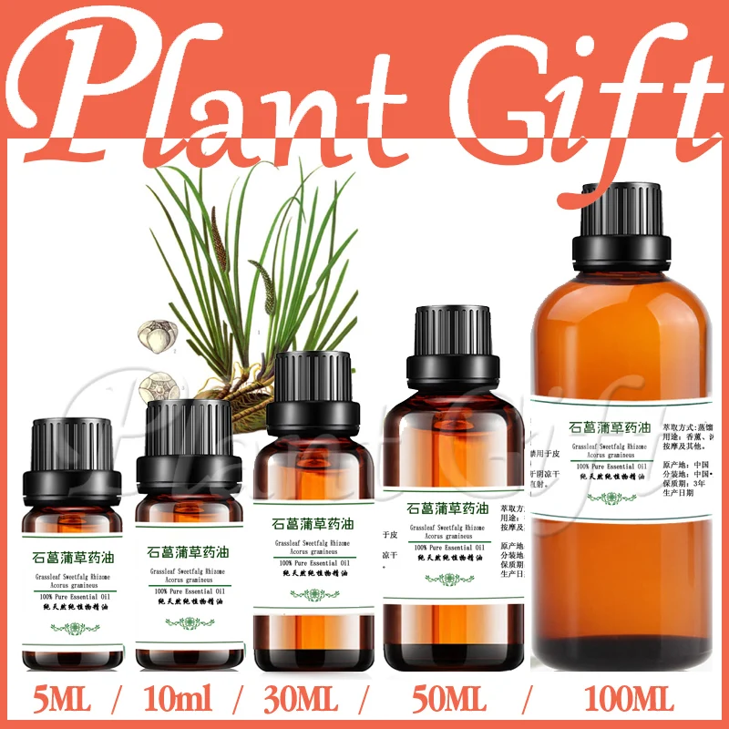 Растительное медицинское масло желуса граминея эфирные масла RHIZOMA ACORI