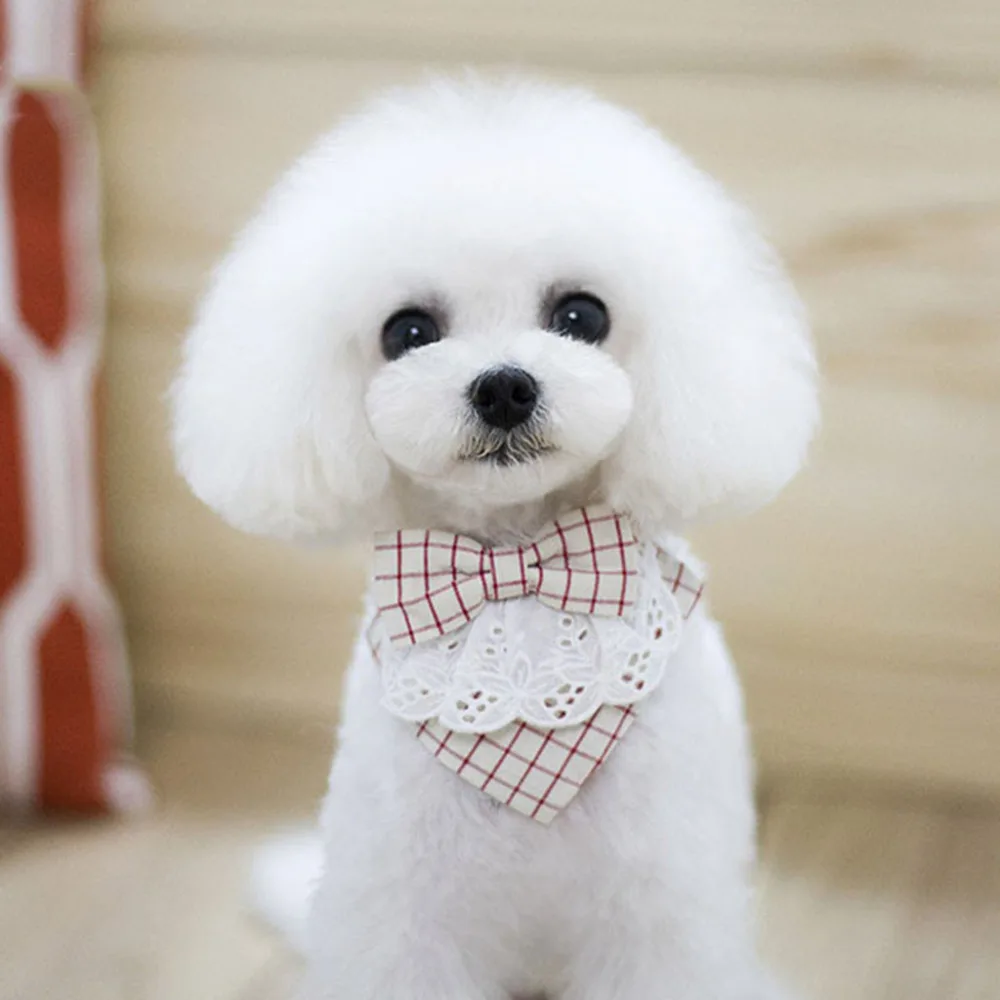 Галстук бабочка для собаки ошейник 1 шт. хлопок белый кружевной плед слюнявчик