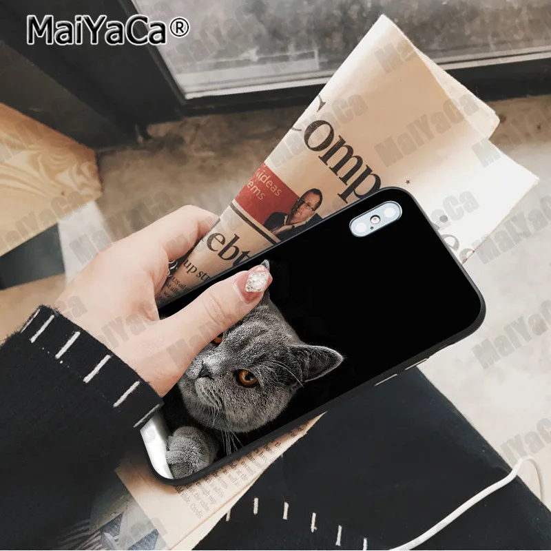 A15 MaiYaCa милый Британский короткошерстный кот Новинка чехол для телефона Fundas чехол для Apple iphone 11 pro 8 7 66S Plus X XS MAX 5S SE XR чехол - Цвет: A15