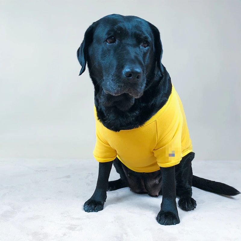 [MPK Dog Wear] свитер чемпиона для полных собак, подходит для английских бульдогов, больших грудных собак, грудь от 70 см до 85 см
