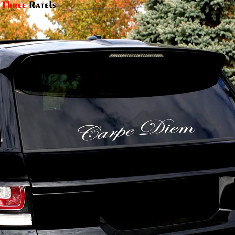 Three Ratels TZ 425 4.2 на 25см 1 5 шт Carpe Diem наклейка лобовое стекло стикеры наклейки авто для