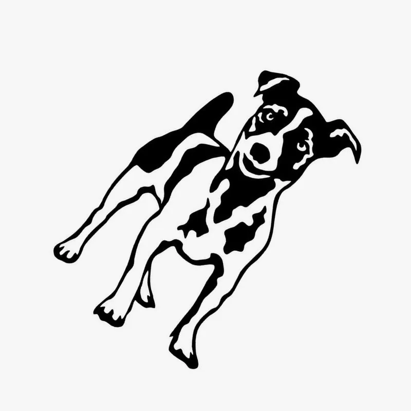 10 3*14 см Джек Рассел терьер стикер автомобиля Наклейка Забавный питомец мотоцикл