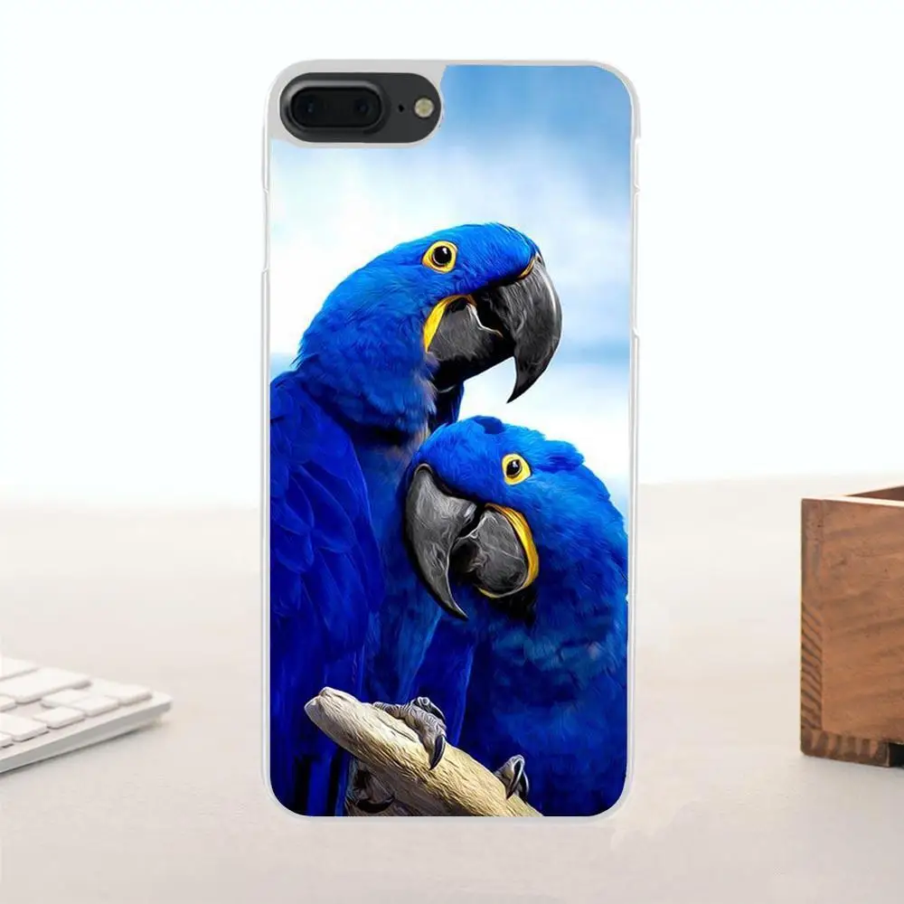 Rainbow Parrot For Huawei G7 G8 Honor 5A 5C 5X 6 6X 7 8 V8 Mate 9 P7 P8 P9 P10 Lite Plus Portugal Fashion Design Cell Case | Мобильные