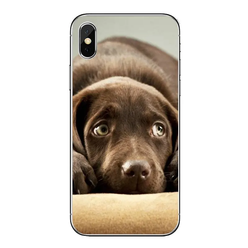 Забавные мягкие прозрачные чехлы для iPod Touch iPhone 4 4S 5 5S 5C SE 6 6S 7 8 X XR XS Plus MAX |