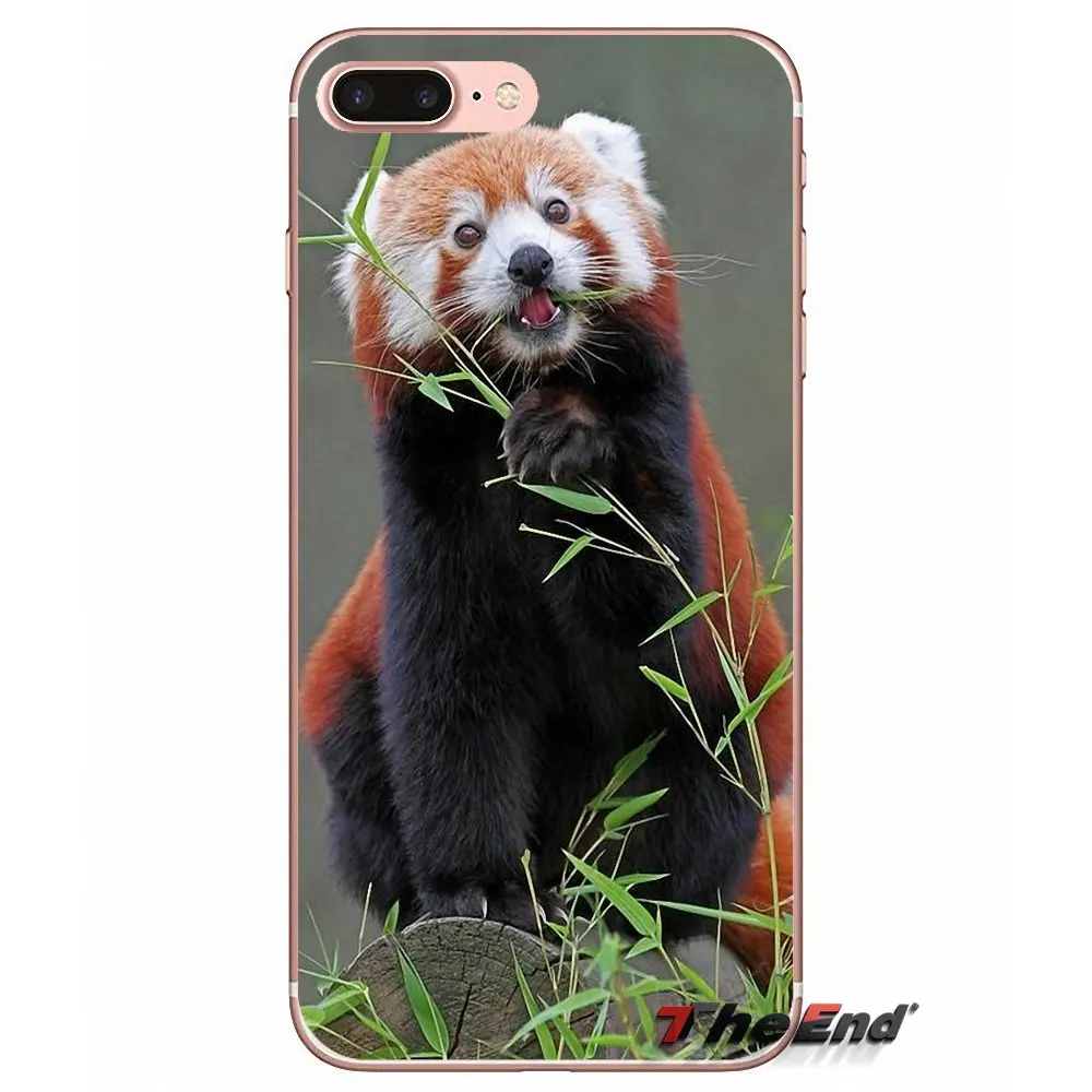 Мягкий силиконовый чехол для iPhone X 4 4S 5 5S 5C SE 6 6S 7 8 Plus Samsung Galaxy J1 J3 J5 J7 A3 A5 2016 2017|case for