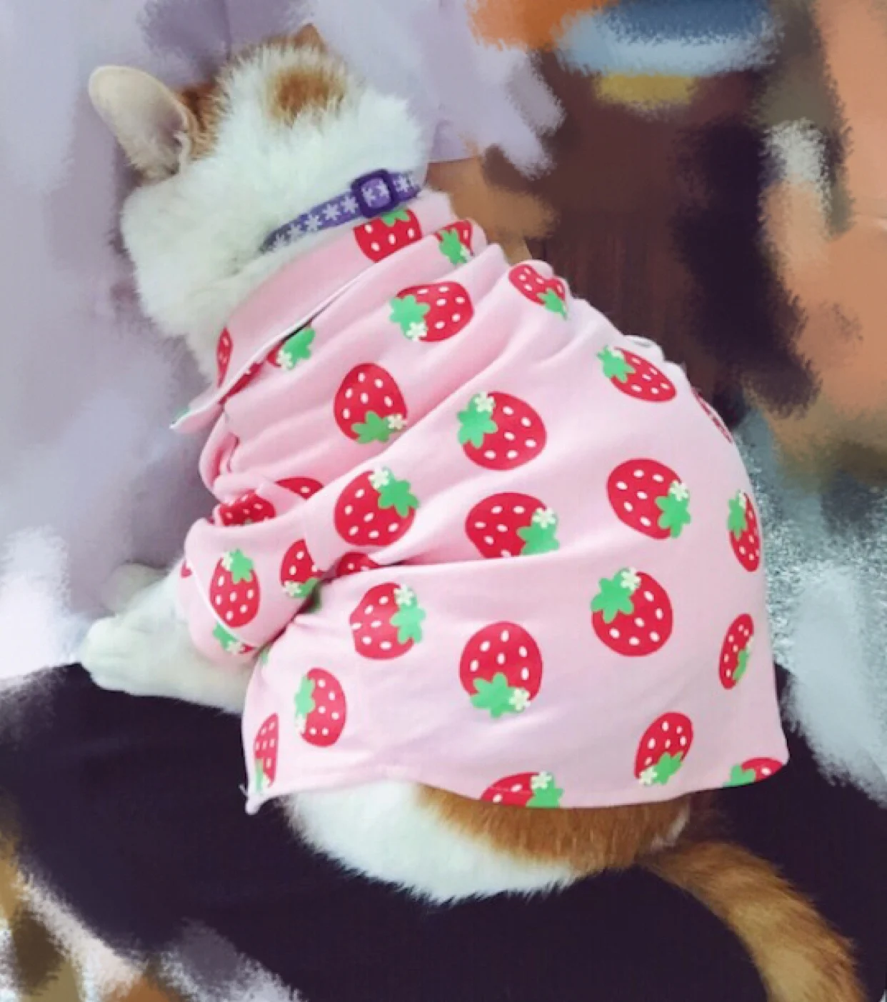 Одежда для домашних животных, котов Mascotas костюм на Хэллоуин Мягкая Милая цыпленок клубника Кошка Домашняя одежда кошка пальто Одежда для домашних животных наряд XS s m l xl