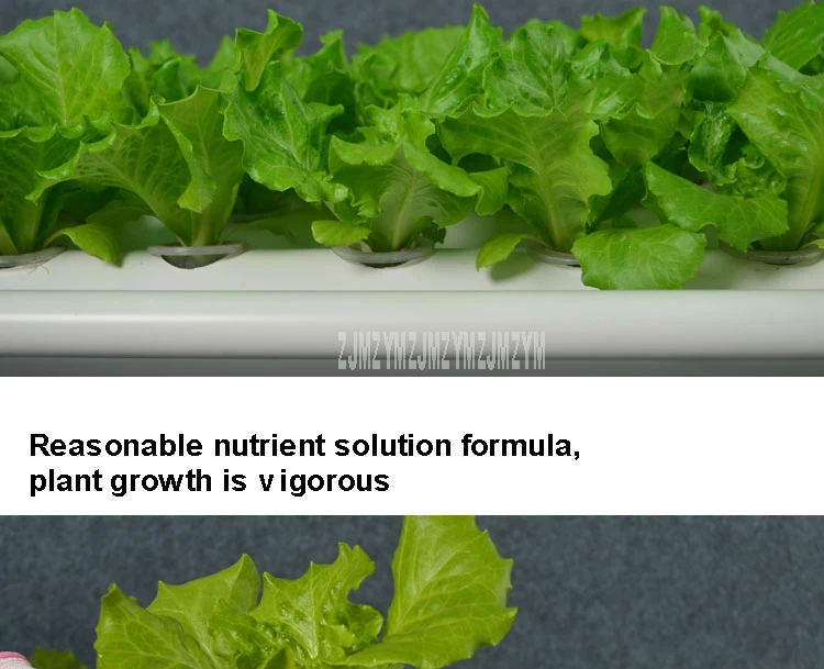 Новые ПВХ Горизонтальный Трубопровод Гидропонного Выращивания Оборудование для посадки 4-трубки 36 с овальным вырезом на балкон гидропоники овощей посадки цветочных горшков полка