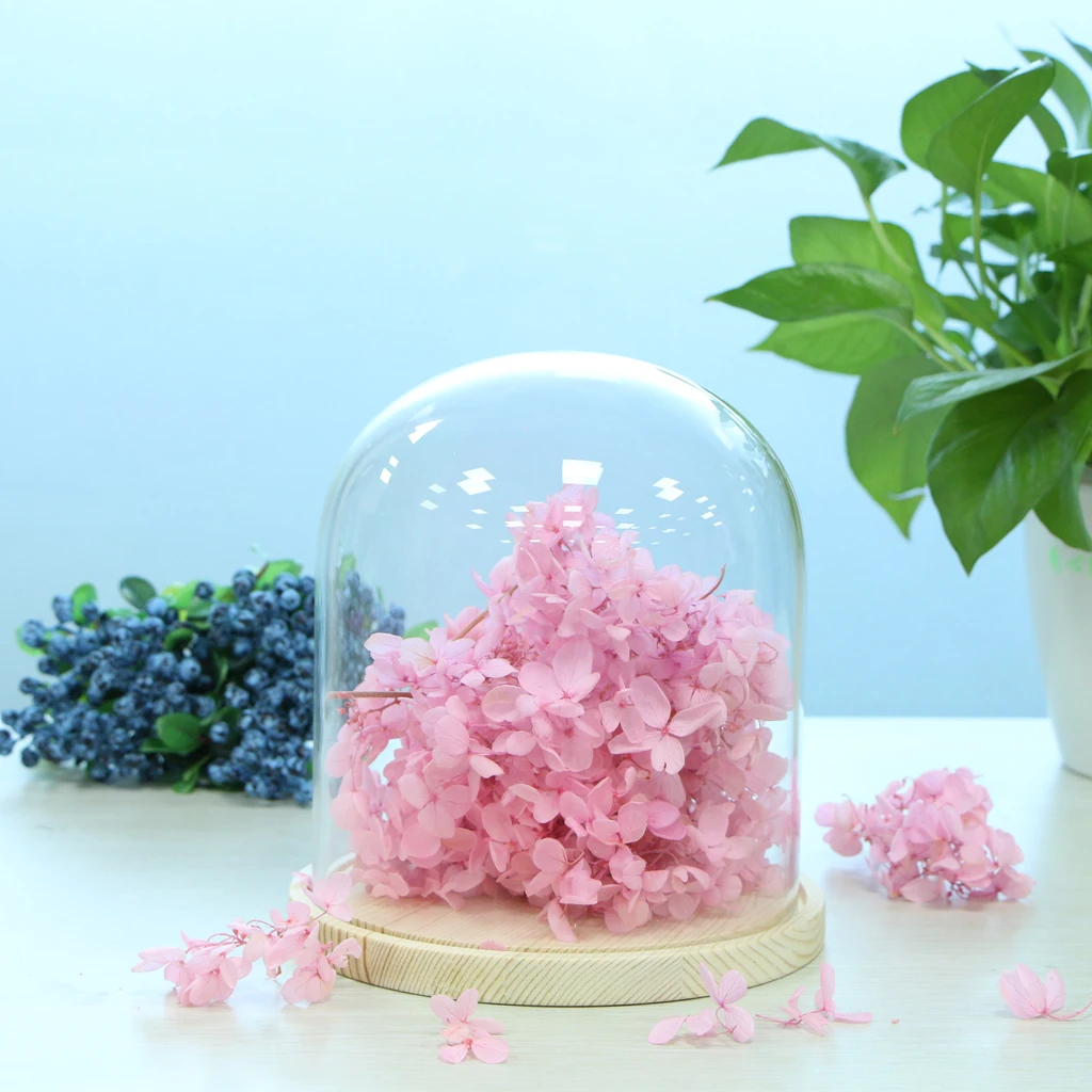 Прозрачное стекло Cloche купольный дисплей с деревянным основанием цветок пейзаж