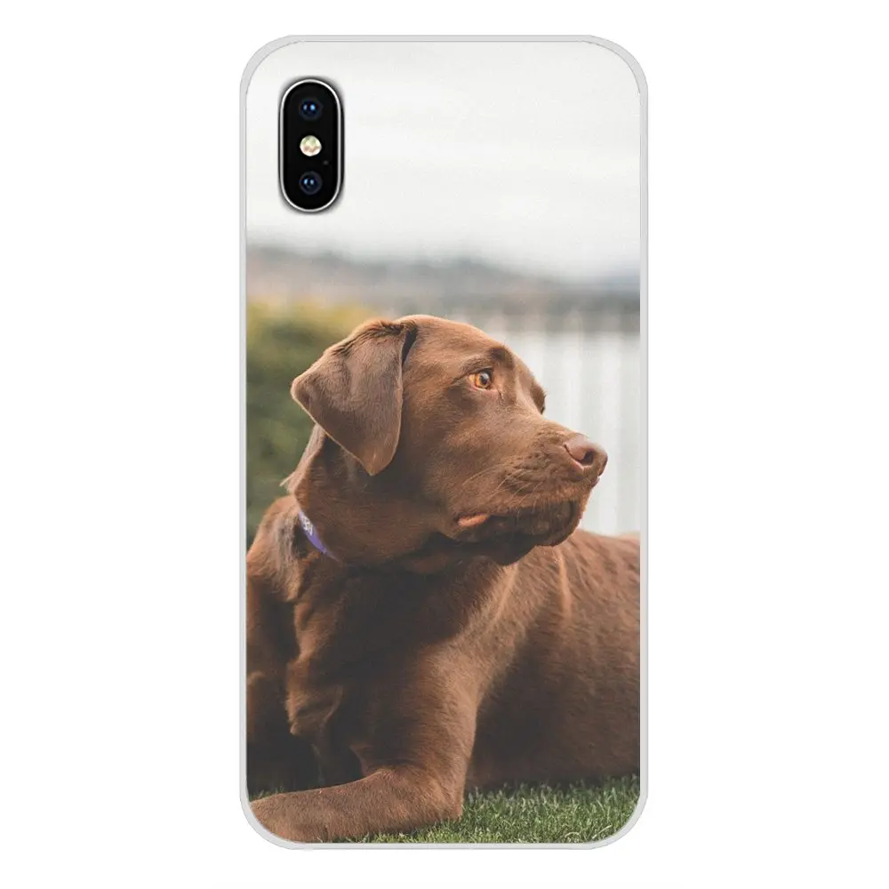 TPU чехол hello pretty Black Labrador для Apple iPhone X XR XS MAX 4 4S 5 5S 5C SE 6 6S 7 8 Plus ipod touch 5 6 - Цвет: images 7